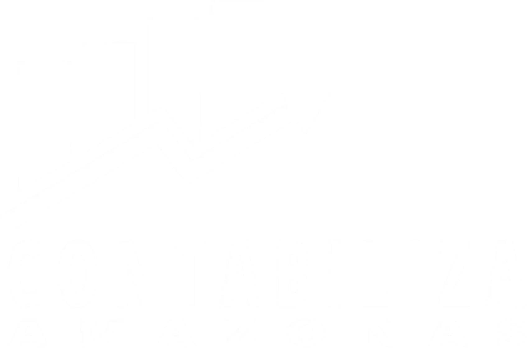 Logo - Contabiliza Amazonas